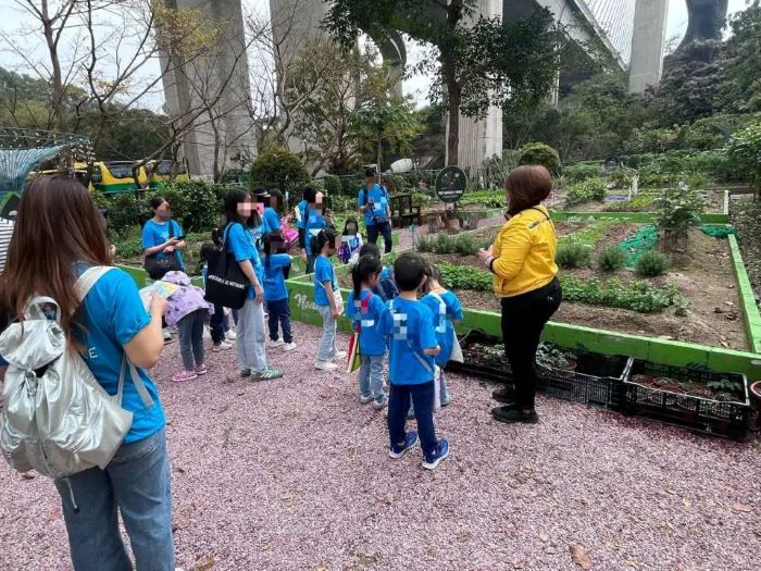 Cho các bạn nhỏ được khám phá ở khu vườn hữu cơ