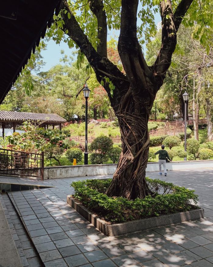 Thiên nhiên, không khí trong lành ở công viên này giúp thư giãn