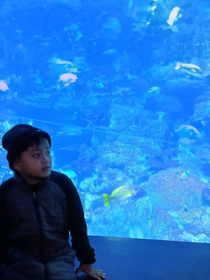 Khám phá đại dương phong phú ở Ocean Park tại Hồng Kông