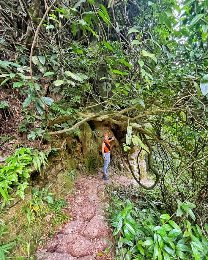 Trekking ở khu rừng nguyên sinh và hòa mình vào thiên nhiên.