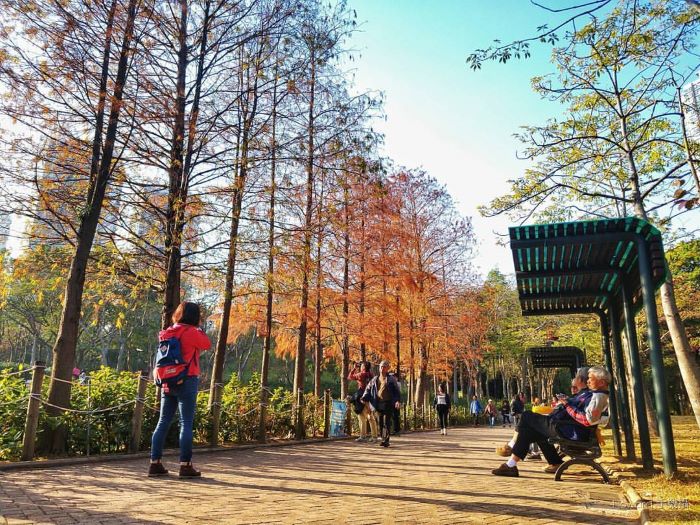 Mọi người đến công viên Tsing Yi để thư giãn, nghỉ ngơi