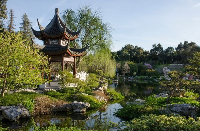Không khí trong lành ở vườn bách thảo khi đi du lịch Hồng Kông mùa thu